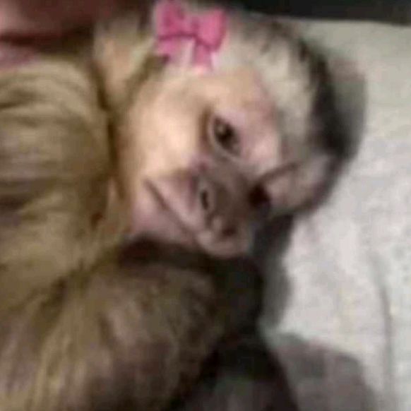 Profile Picture of Jane Tuber.👾 (@janetuber48) on Tiktok