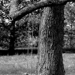 Profile Picture of Della Scott (@334330426) on Myspace