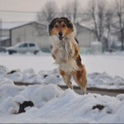 Francesco Dattilo - Twitter Profile Picture of Francesco Dattilo (@ptero83) on Twitter