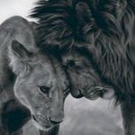 Profile Picture of Francky Avalon (@francky_avalon_01) on Instagram