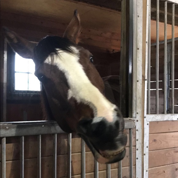 Profile Picture of Davita Fatigate (@dtarzia565) on Poshmark