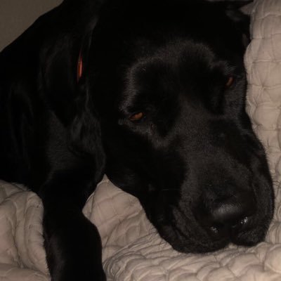 Profile Picture of Jace Garrett (@Jacegarrett7) on Twitter