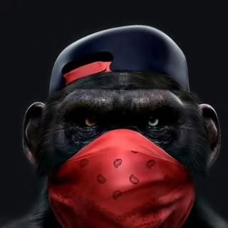 Profile Picture of Né... (@newton.lima) on Instagram