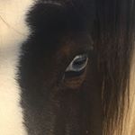 Profile Picture of Alana McVicker-Savoie (@mcvickersavoie) on Instagram