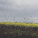 Profile Picture of Lacey Chandler 🐴🐶🐰🐨 (@lacey_jayne_30) on Instagram