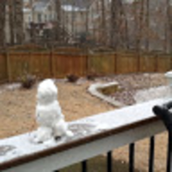 Profile Picture of Sheila Sandgren (@ssandgren5) on Poshmark