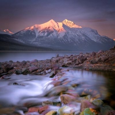 Profile Picture of Paula (@paula_kenner19) on Twitter