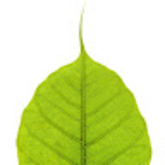 Profile Picture of Scott Raymond (@scottlmt) on Poshmark