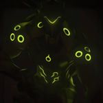 Profile Picture of Jason Asmussen (@lightphantoms) on Instagram