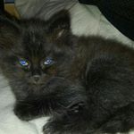 Profile Picture of Cassandra Mouritz (@cassandramouritz) on Instagram