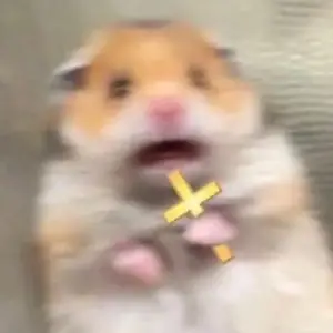 Profile Picture of Eve (@meallovers1) on Tiktok