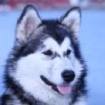 Profile Picture of Kizzy Clarke (@kizzymute) on Instagram