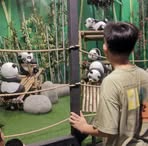 Profile Picture of Yong Sun (@Yong-Sun) on Facebook