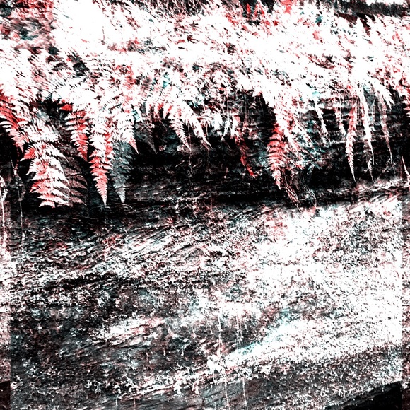 Profile Picture of Hannah Dellorso (@hkd0708) on Poshmark