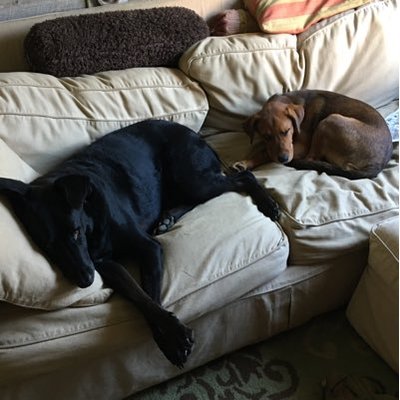 Profile Picture of Tracy Andrews (@TracyTedHenry) on Twitter