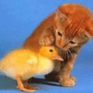 Profile Picture of Lorena Suárez (@dolce_lorenna) on Myspace