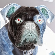 Profile Picture of Matthew Holsclaw (@matthewholsclaw8178) on Youtube