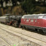 Profile Picture of Wolfgang Popp (@popp_wolfgang) on Instagram