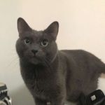 Profile Picture of eric_wayne_scarbrough (@eric_wayne_scarbrough) on Instagram