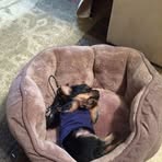 Profile Picture of Myrtle Blaylock (@Myrtle-Blaylock) on Facebook