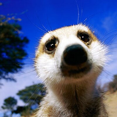 Profile Picture of Damien Sanderson (@2roll4life7) on Twitter