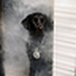 Profile Picture of Jeffrey Williams (@jeffrey.williams81) on Flickr