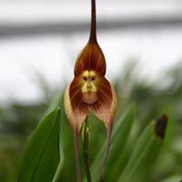 Profile Picture of Christaline Duncan Crain (@cduncancrain) on Pinterest