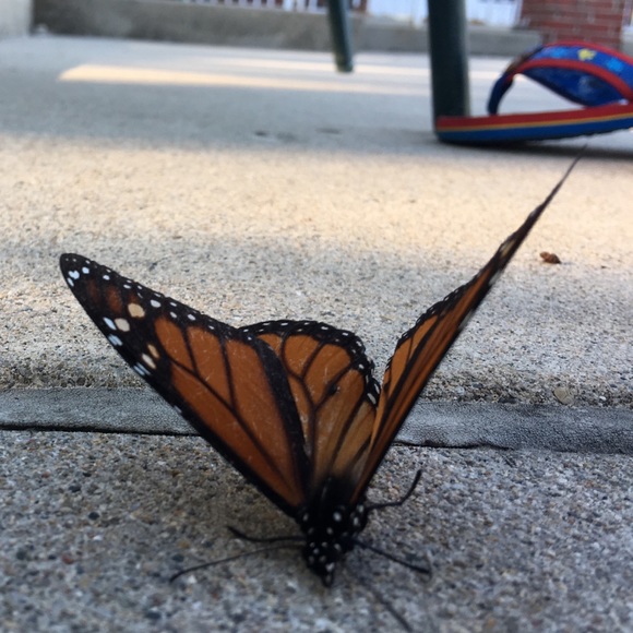 Profile Picture of Jarren Plude (@jsoup94) on Poshmark