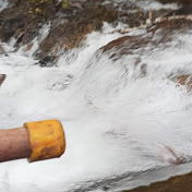 Profile Picture of Jirlan Cusin (@jirlancusin8177) on Youtube