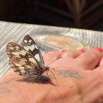 Profile Picture of Jasmine Watzenegger (@jasminewatzenegger) on Instagram