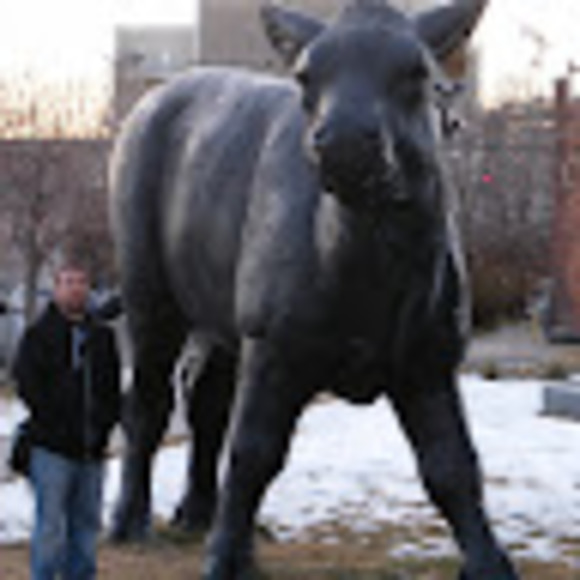 Profile Picture of Chris Banks (@suppletummy) on Poshmark