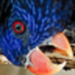 Profile Picture of Pleasant Pics (@Pleasant Pics) on Flickr