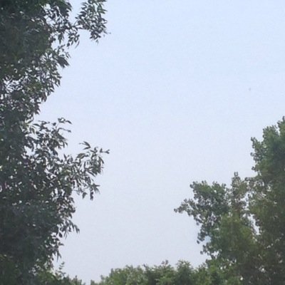 Profile Picture of Jason Wilhite (@JasonWilhite_1) on Twitter