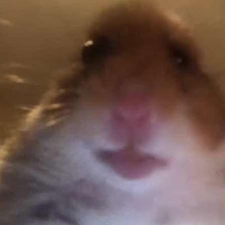 Profile Picture of Josh Crowley (@@joshcrowley56) on Tiktok