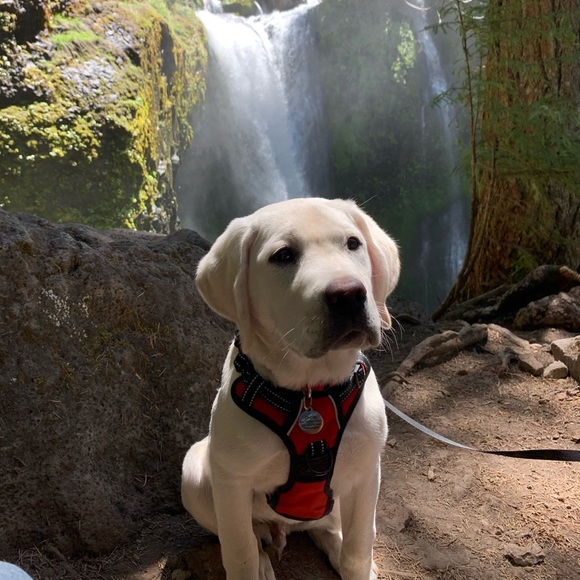 Profile Picture of Jill Boeschenstein (@txgaorkids) on Poshmark