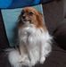 Profile Picture of Darrell Kroll (@darrell.kroll.1) on Facebook