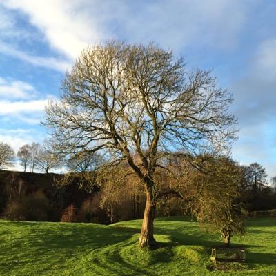 Profile Picture of James Watters (@jadw59) on Twitter