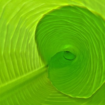 Profile Picture of Mike Quayle (@Quayle) on Twitter