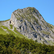 Profile Picture of Fredo Vidal (@fredovidal1167) on Youtube