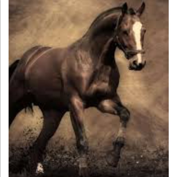 Profile Picture of Frankie Dorado (@doradofrankie) on Poshmark