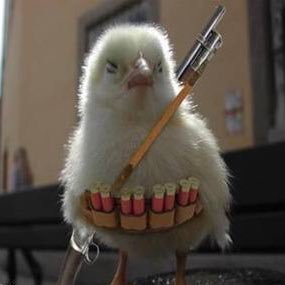 Manolo Henares Vidal - Twitter Profile Picture of Manolo Henares Vidal (@HIPERPOLLOANT) on Twitter