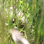 Profile Picture of Tony Lowry (@tonylowry123) on Instagram