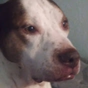 Profile Picture of Debra Willis (@debraann9512) on Youtube