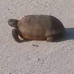 Profile Picture of Craig Ruede (@ruedecraig) on Instagram