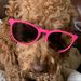 Profile Picture of Aaron Danner (@aarondanner) on Pinterest