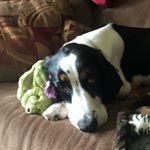 Profile Picture of Tanner Mathews (@chippingspoon13) on Instagram