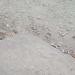 Profile Picture of Michaëlovitch Cadet (@michaelovitch.cadet) on Facebook