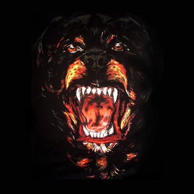 Profile Picture of Anton Schulze Larsen (@Anton_S_Larsen) on Twitter