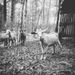 Profile Picture of Joshua Potts (@jpotts1) on Pinterest