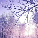 Profile Picture of Sofía Isabel Garrido (@sofiaisabelgarr) on Instagram